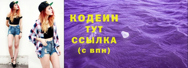 прущий лед Няндома