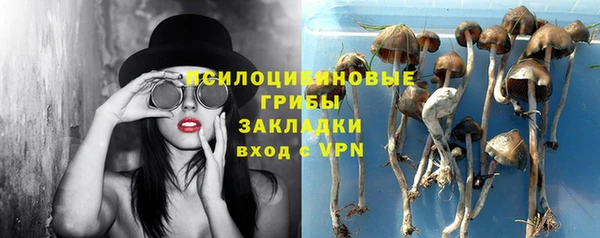 не бодяженный Новодвинск
